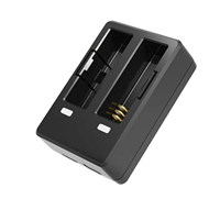 C300-Dual-Charger
