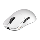INCA-white-background-(4)